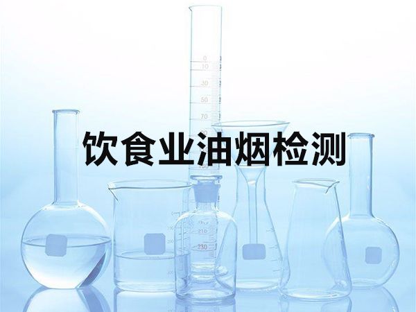 飲食業(yè)油煙檢測